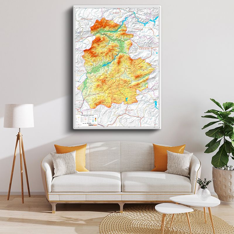 Harita Kanvas Tablo 9