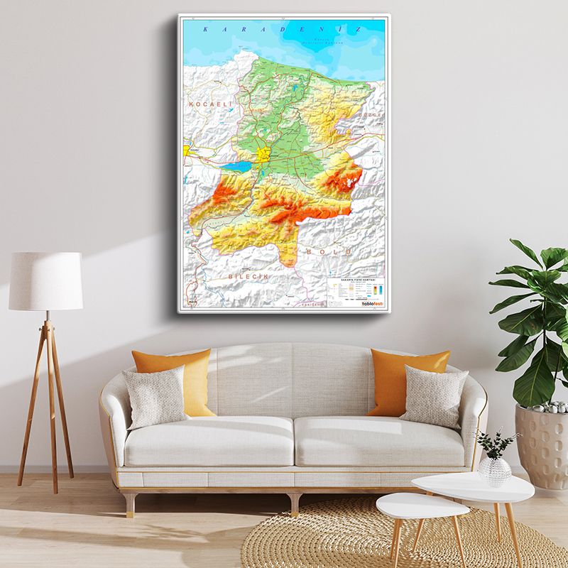 Harita Kanvas Tablo 23