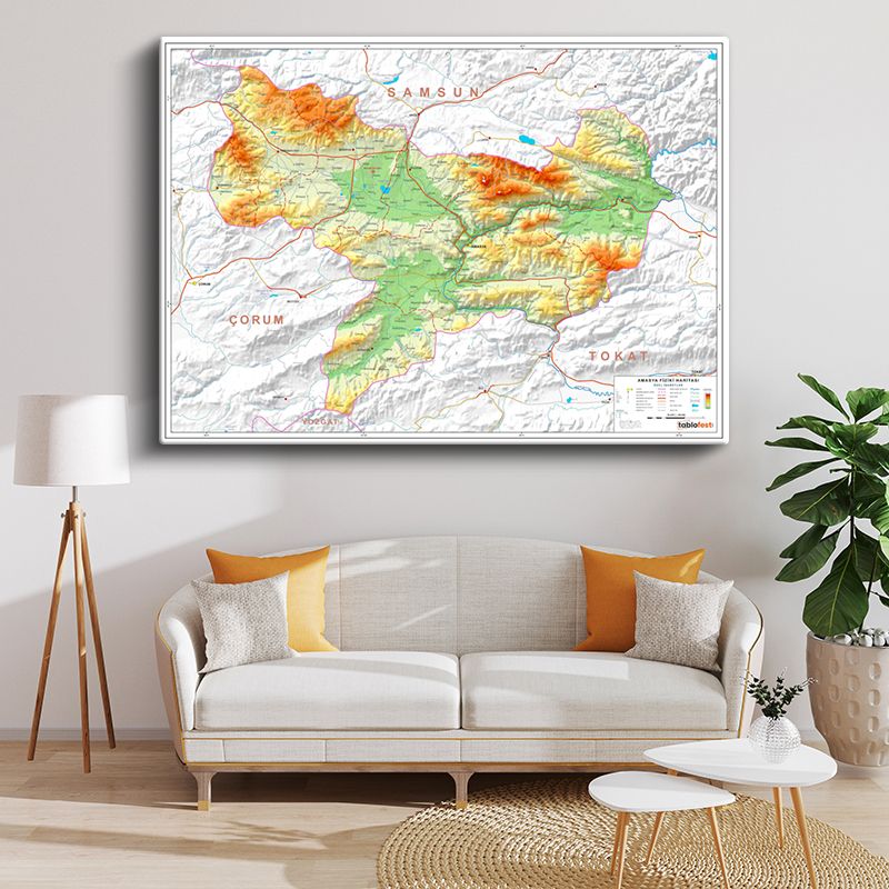 Harita Kanvas Tablo 39