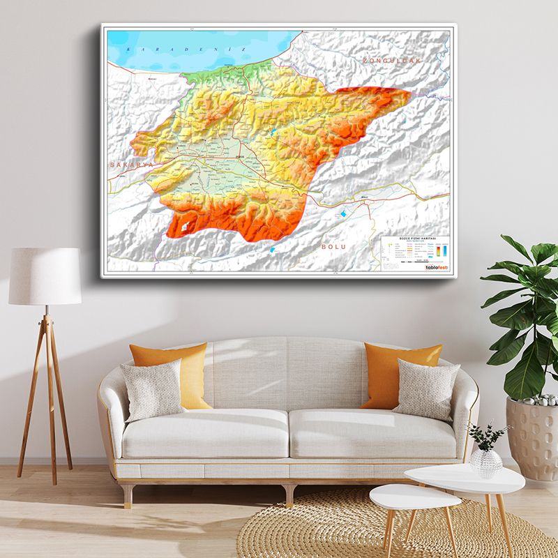 Harita Kanvas Tablo 71