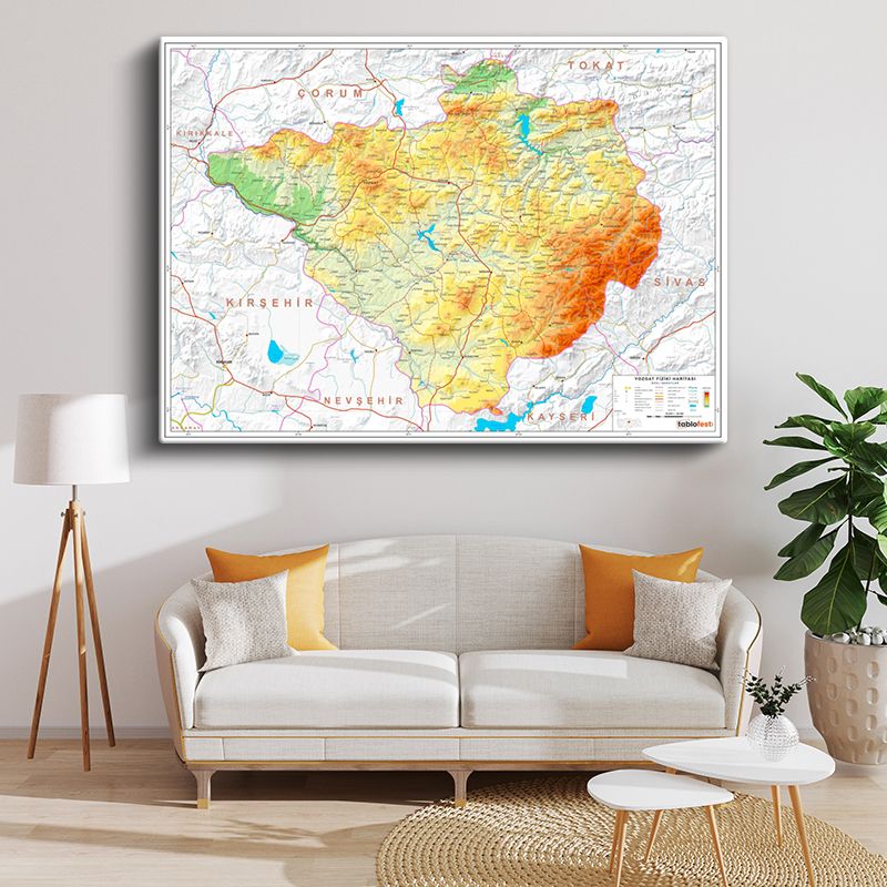 Harita Kanvas Tablo 163