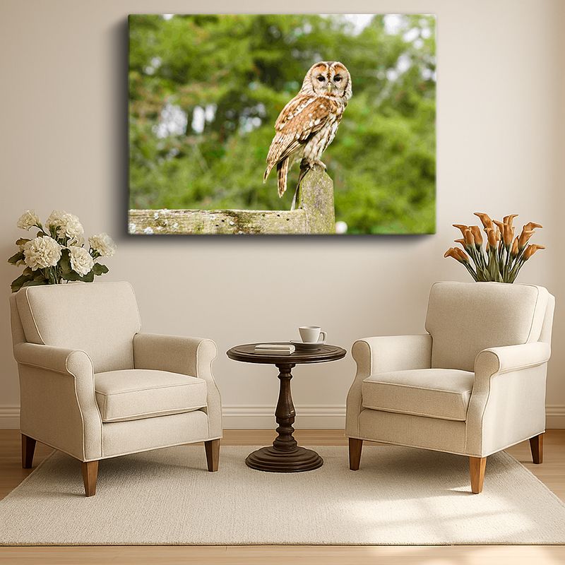 Hayvan Kanvas Tablo 613